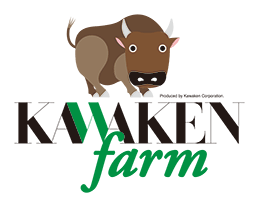 kawaken logo