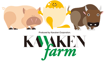kawaken logo